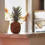 Antonio 아파트 *