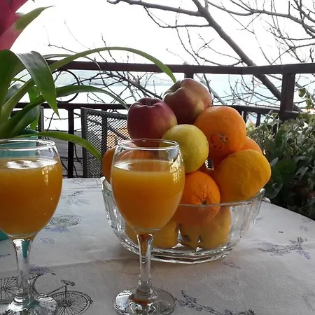 Apartman Antonio Trogir