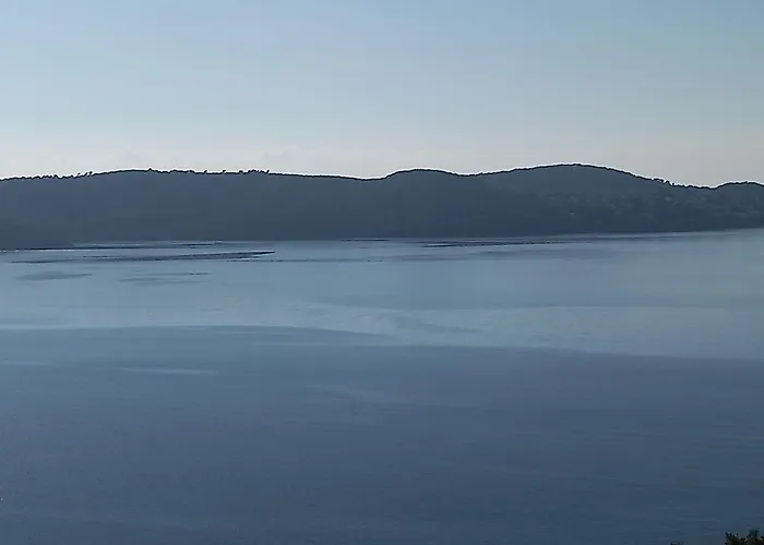 Antonio * Trogir
